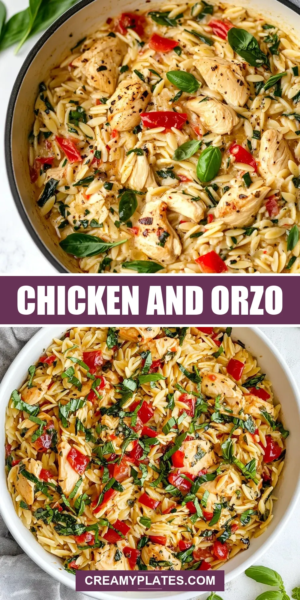 Chicken And Orzo Recipe