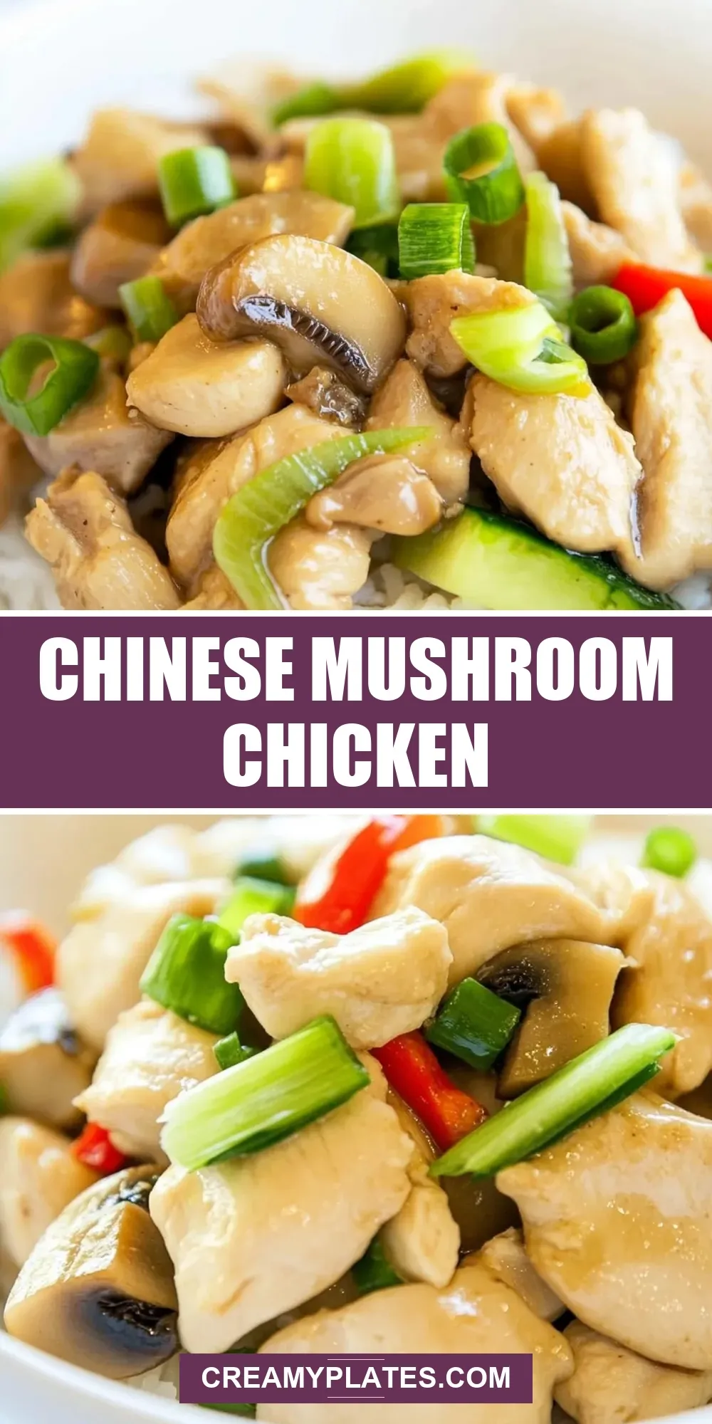 How To Make Creamy Chinese Mushroom Chicken