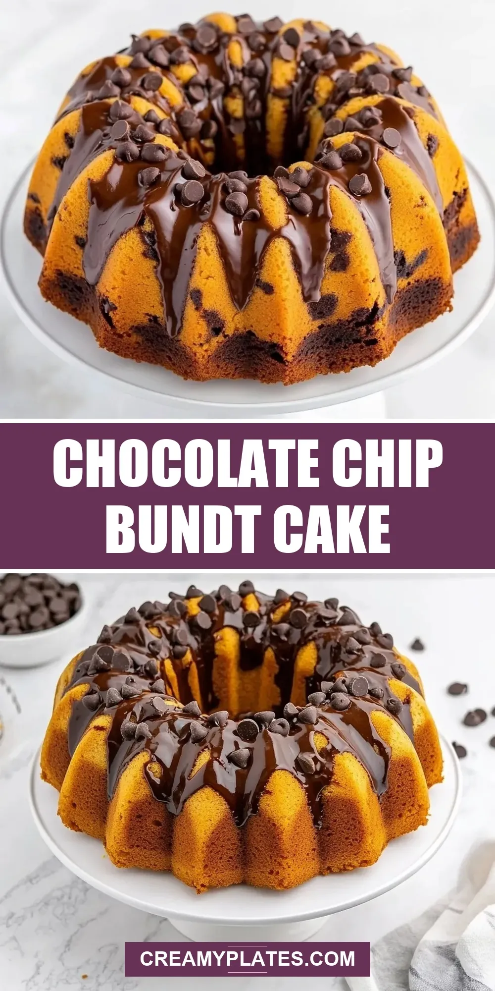 Flavorful Chocolate Chip Bundt Cake