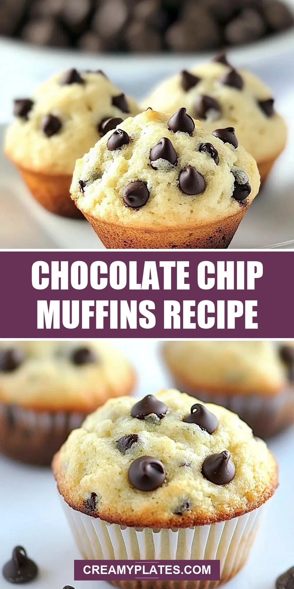 Easy Chocolate Chip Muffins Recipe