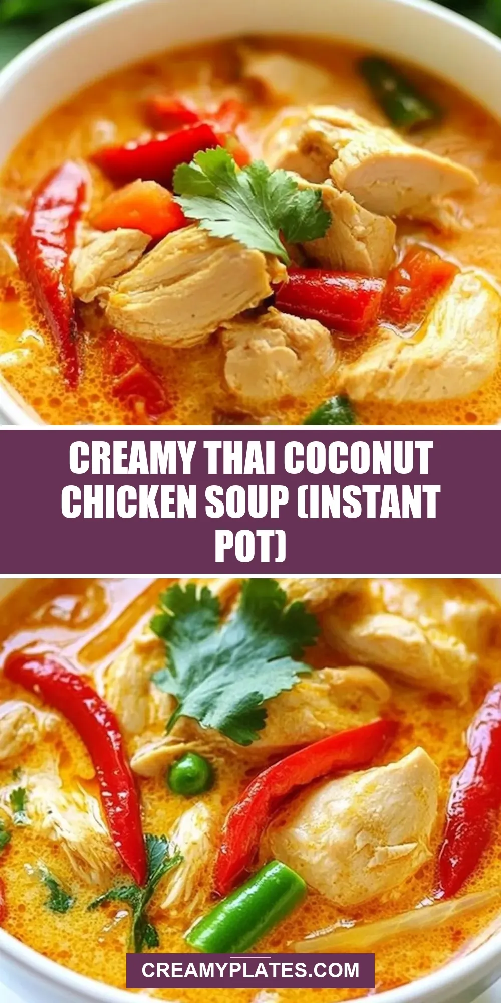The Best Creamy Thai Coconut Chicken Soup (Instant Pot) Ever