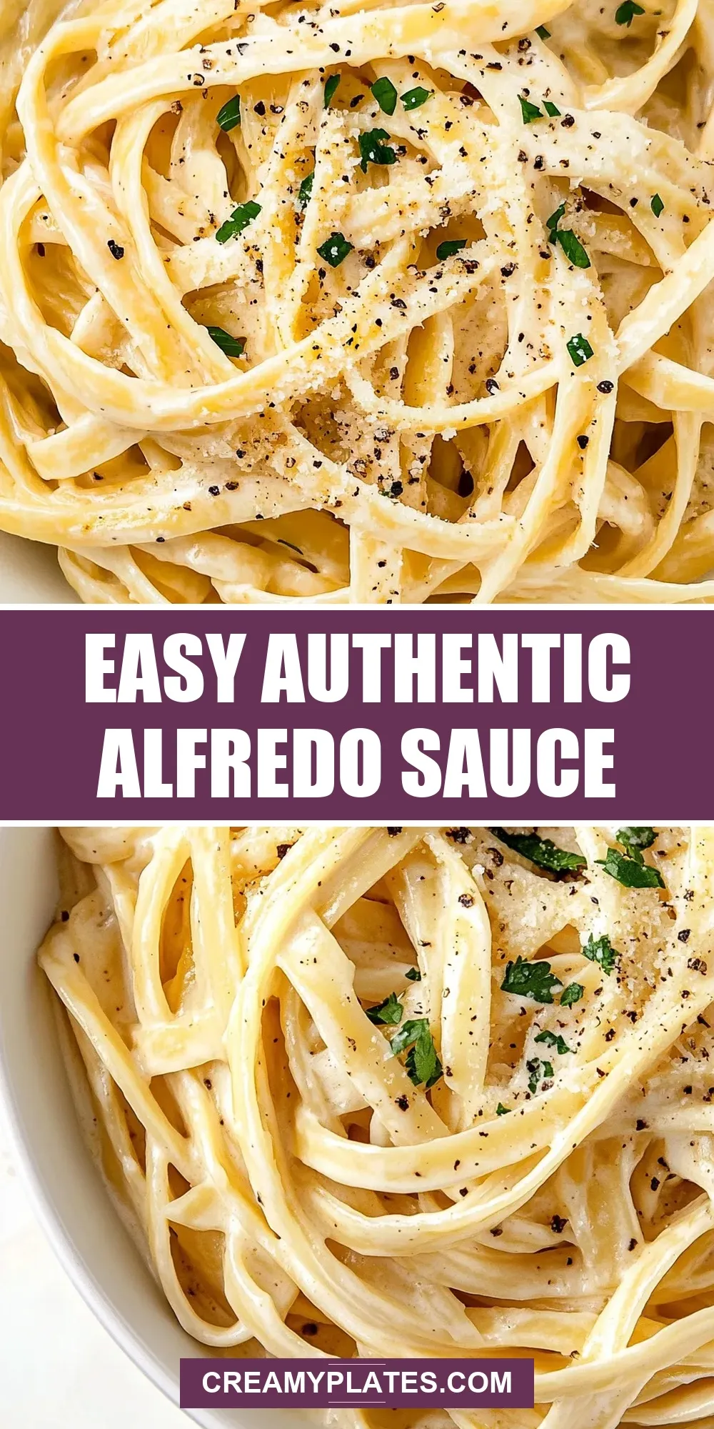 Easy Authentic Alfredo Sauce Recipe