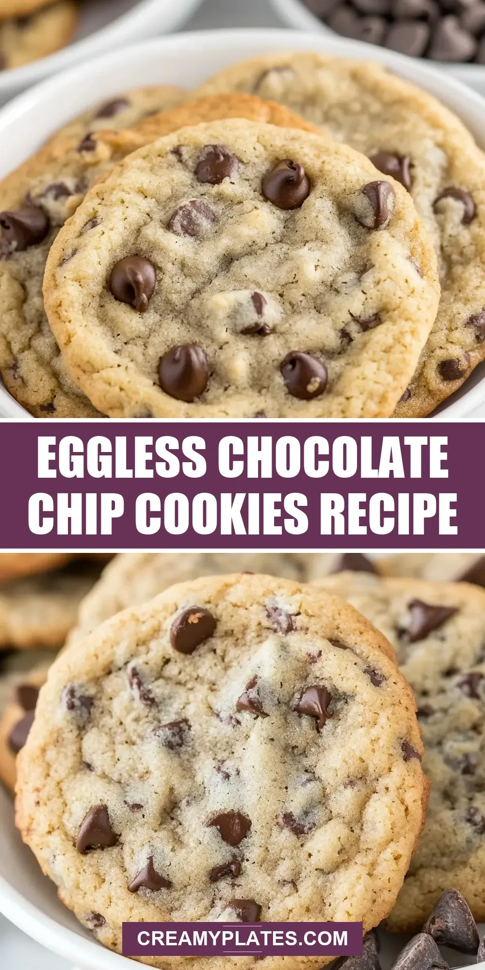 How To Make Savory Eggless Chocolate Chip Cookies