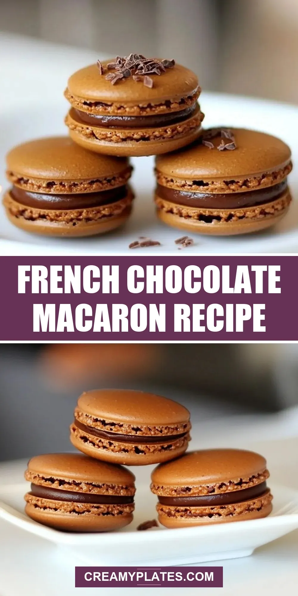 The Best French Chocolate Macaron Ever