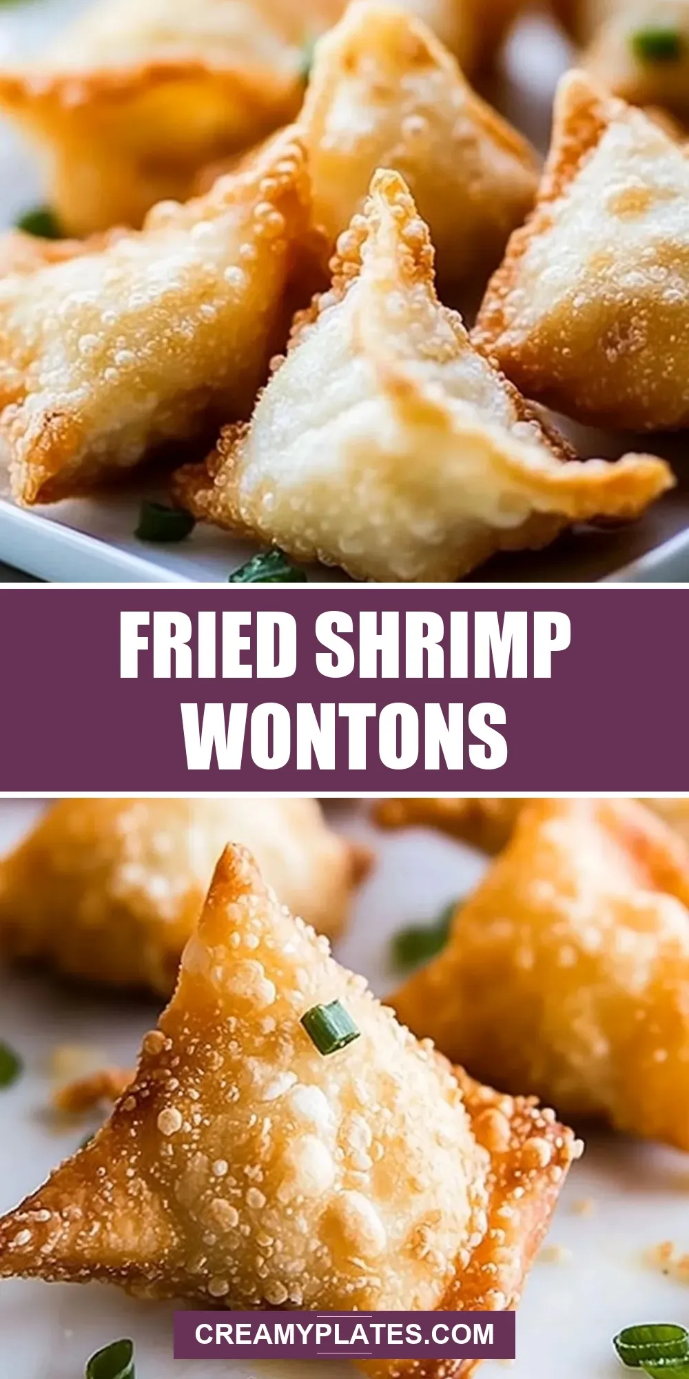 How To Make Flavorful Fried Shrimp Wontons