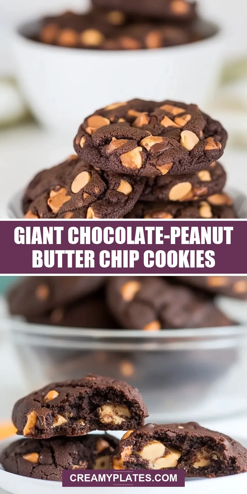 Giant Chocolate-Peanut Butter Chip Cookies (The Best & Delicious)