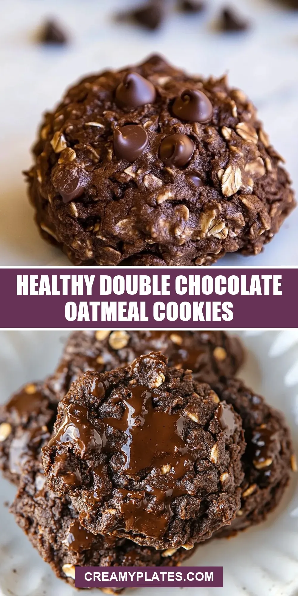 The Best Healthy Double Chocolate Oatmeal Cookies Ever