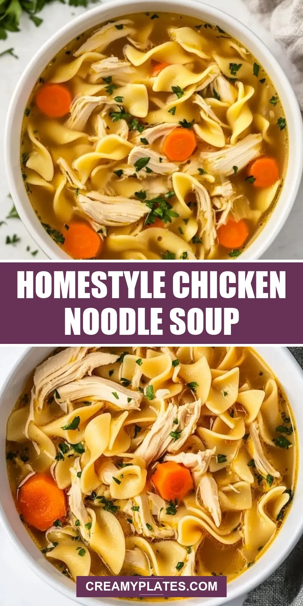Homestyle Chicken Noodle Soup Recipe
