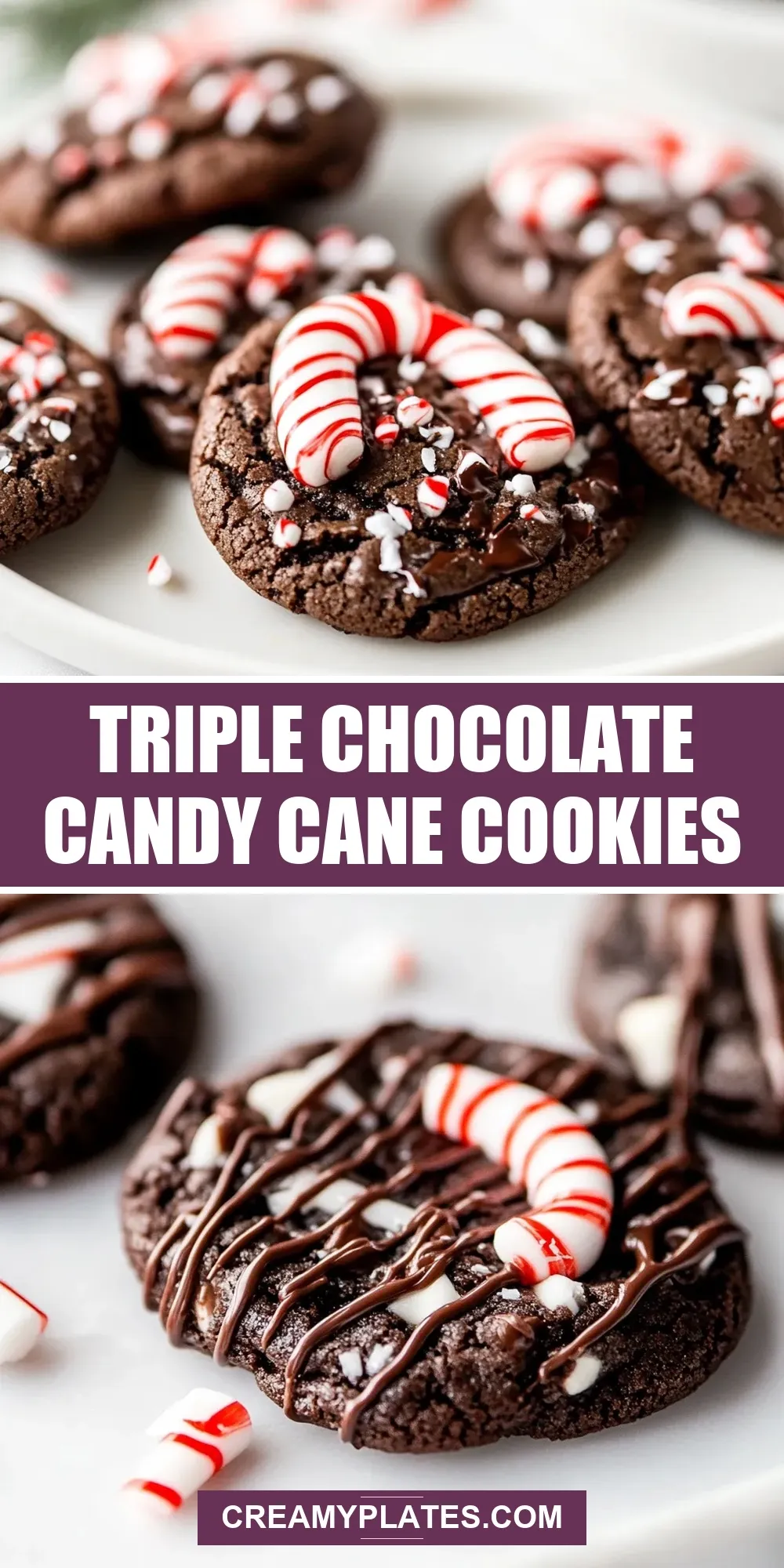 Easy Triple Chocolate Candy Cane Cookies Recipe
