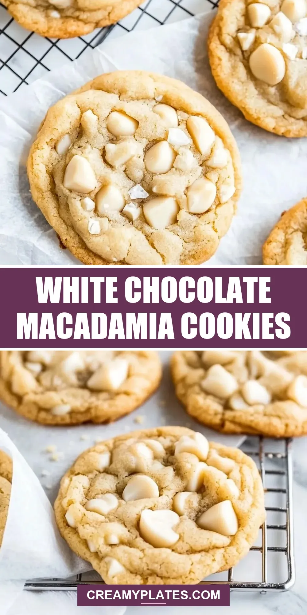 The Best White Chocolate Macadamia Cookies Ever