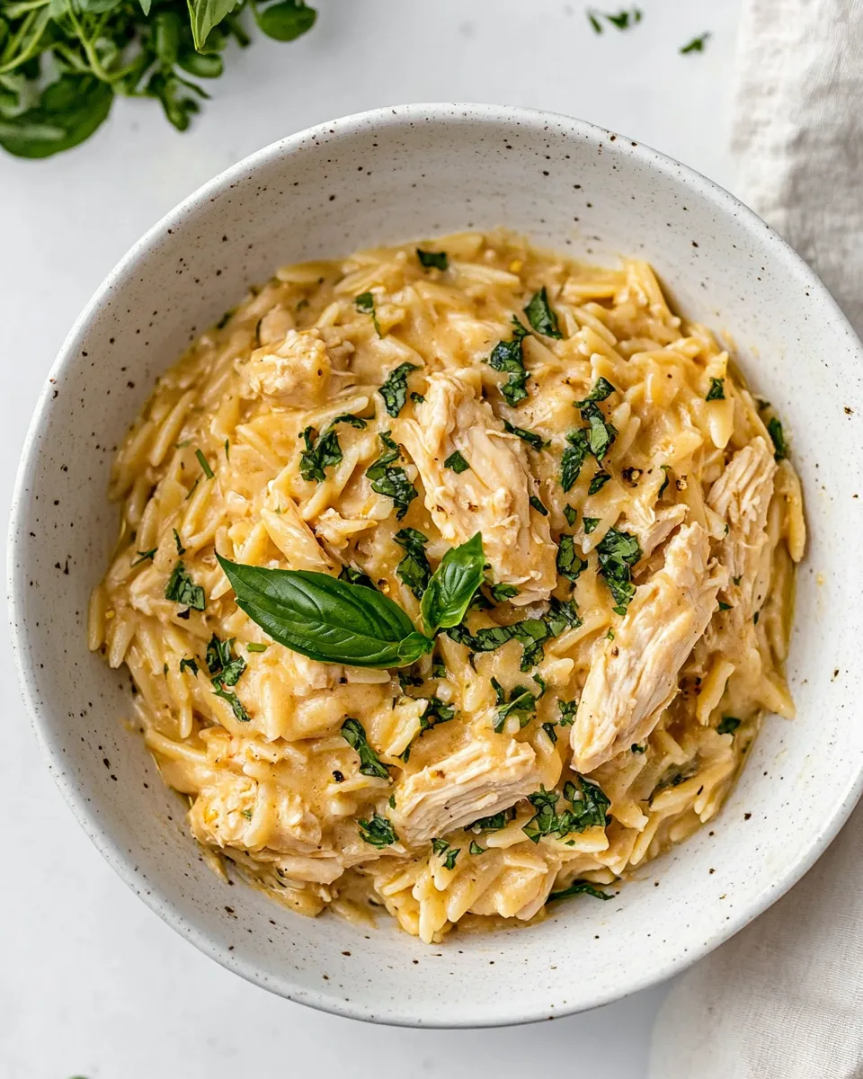 Delicious Creamy Chicken Orzo shot