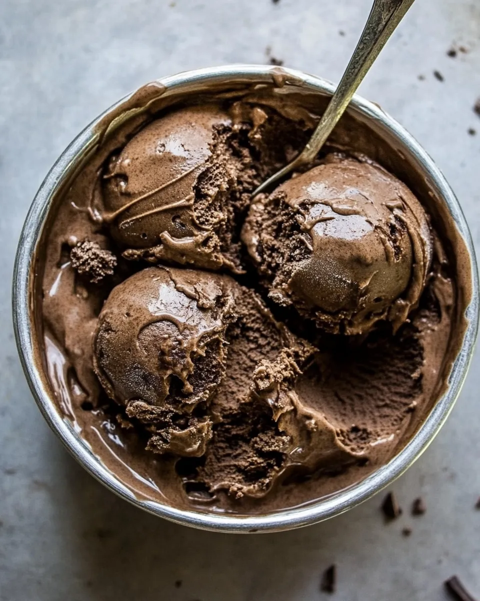 Homemade Keto Chocolate Ice Cream (Vegan) shot