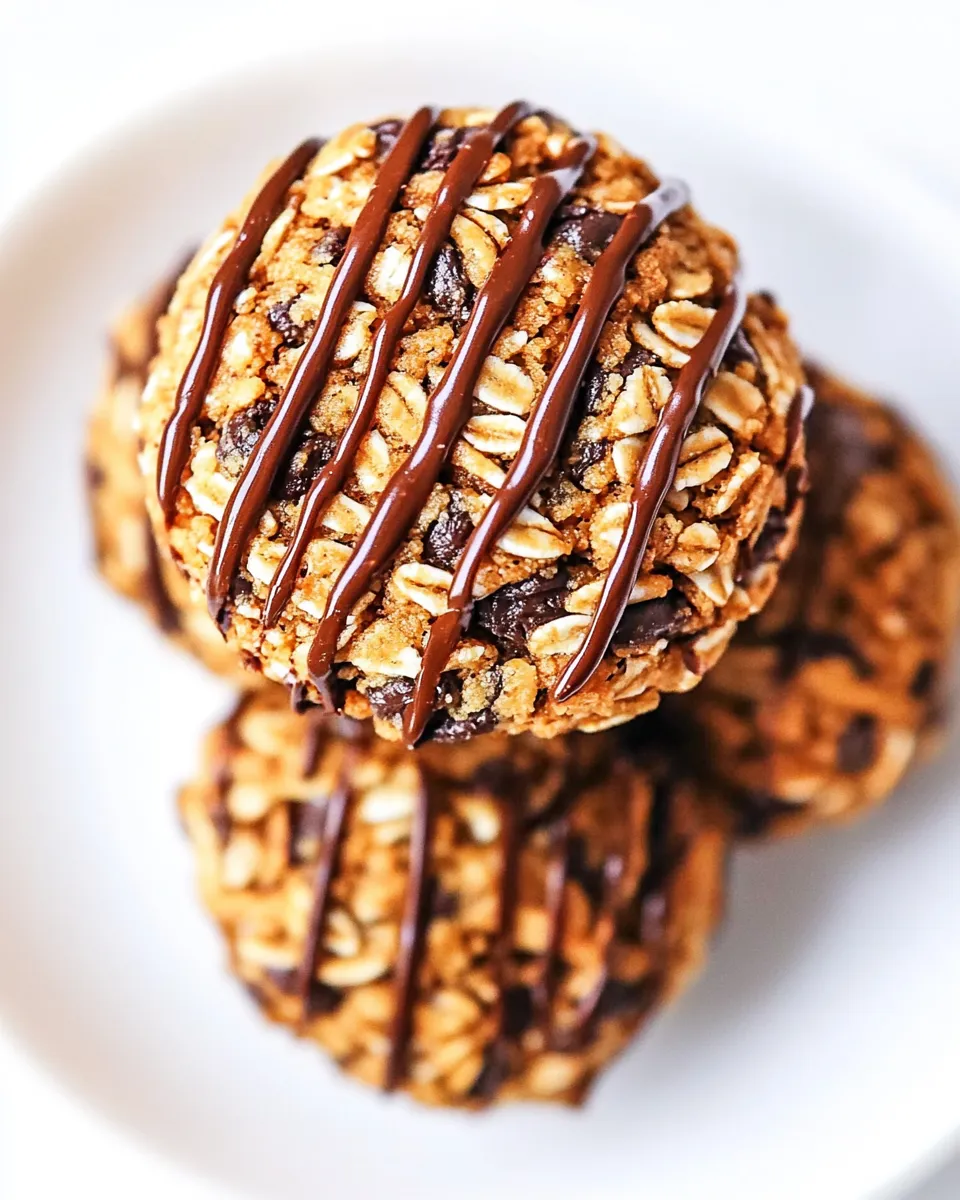 Healthy No Bake Healthy Breakfast Cookies shot