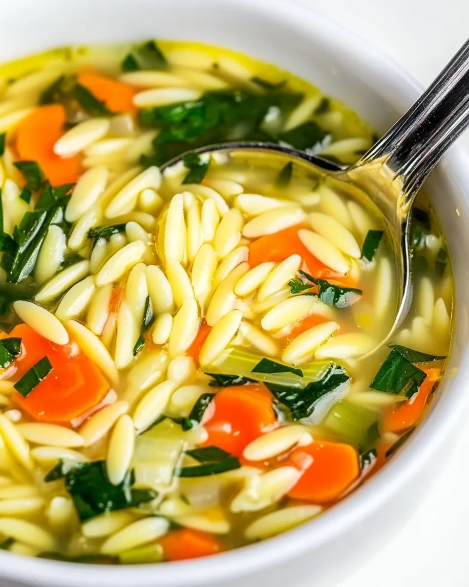 Savory Quick Orzo Soup shot